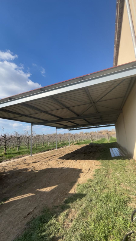 abri-agricole-charpente-bacacier